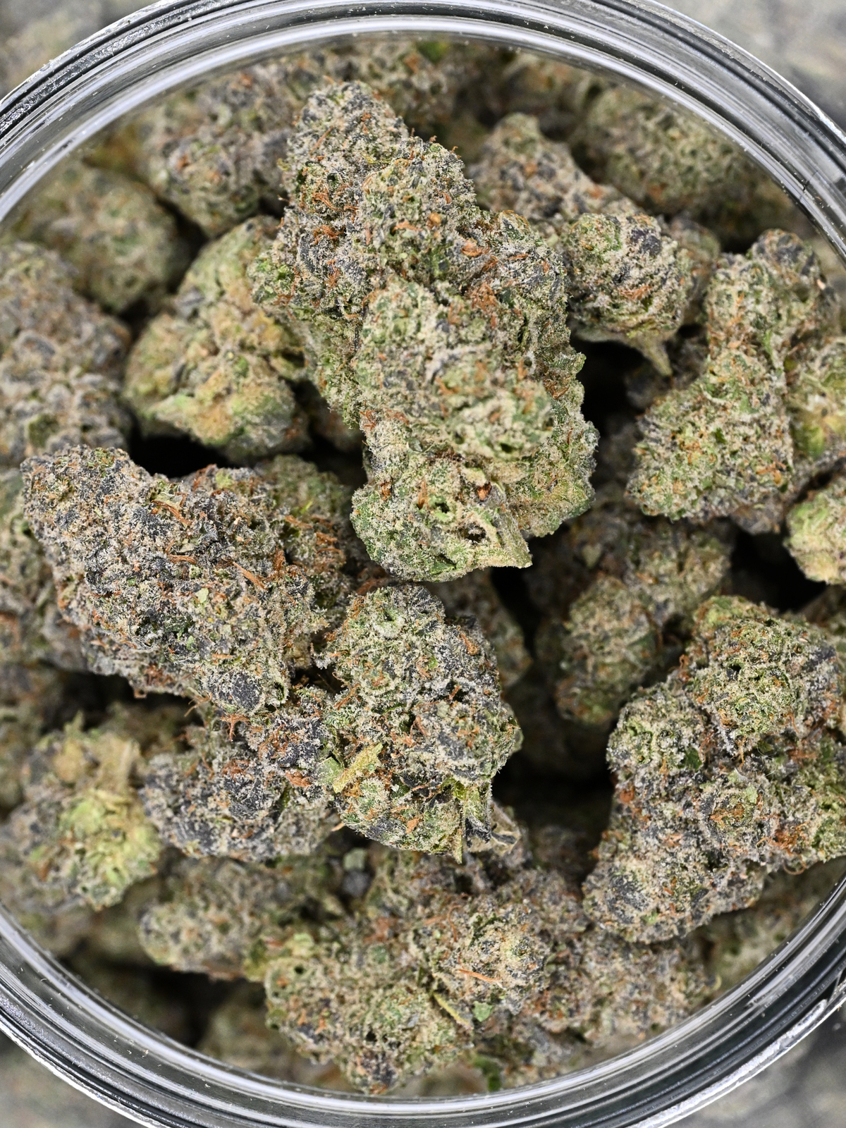 Stankasaurus Indoor Living Soil THCa Flower August Cannabis Club