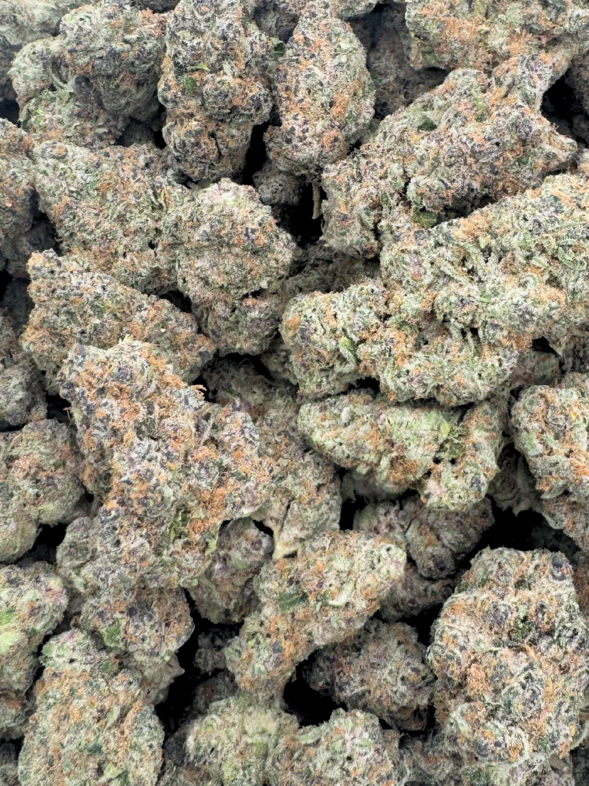 Subzero Indoor Living Soil THCa Flower August Cannabis Club