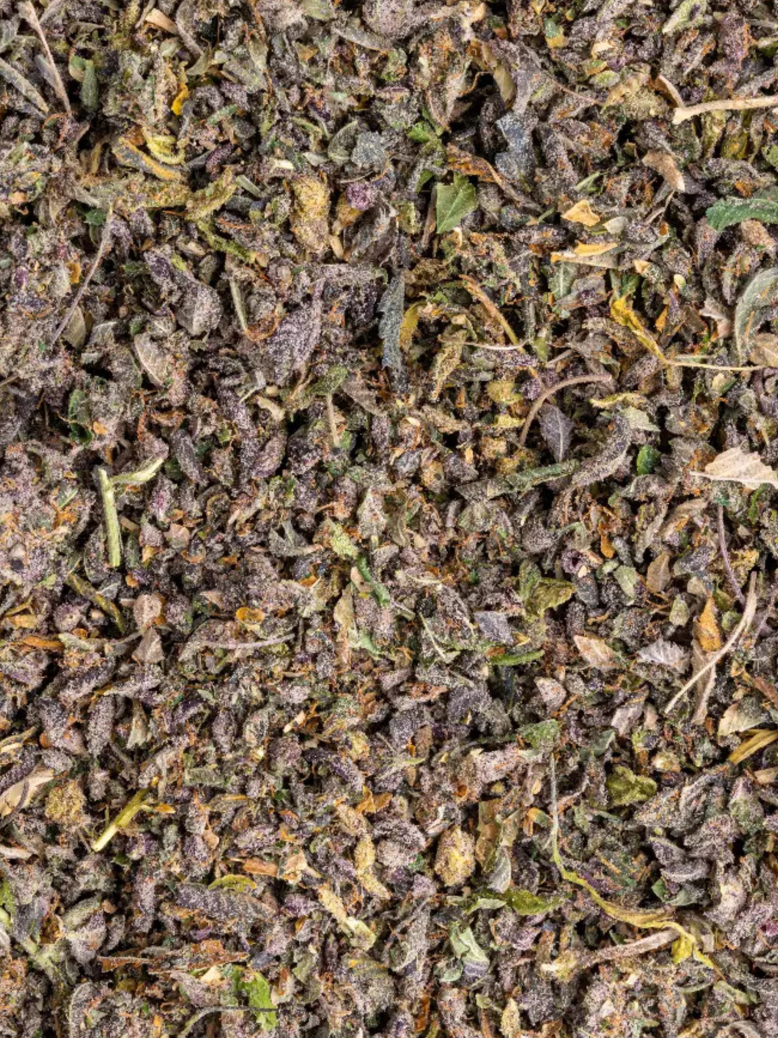 Super Buff Cherry Exotic August Club THCA