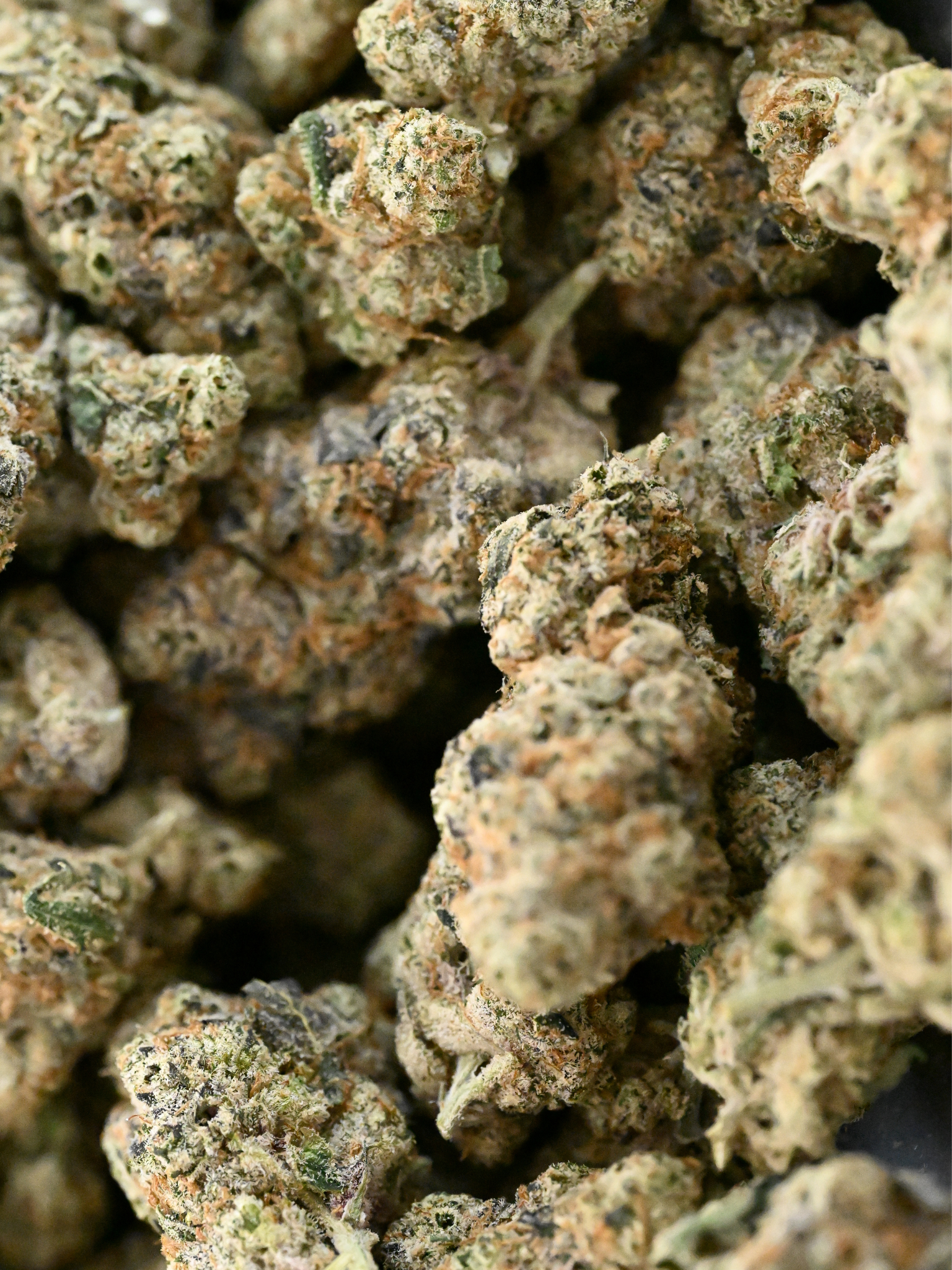 Super Glue THCa Flower Living Soil August Cannabis Club