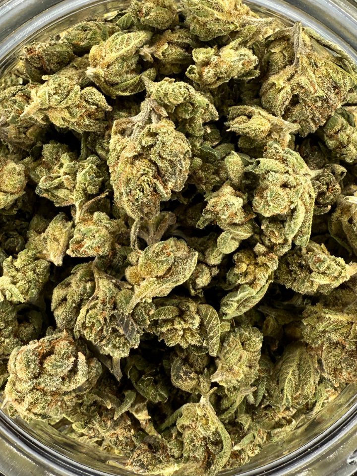 Super Silver Haze THCA Flower Indoor Smalls August Cannabis Club