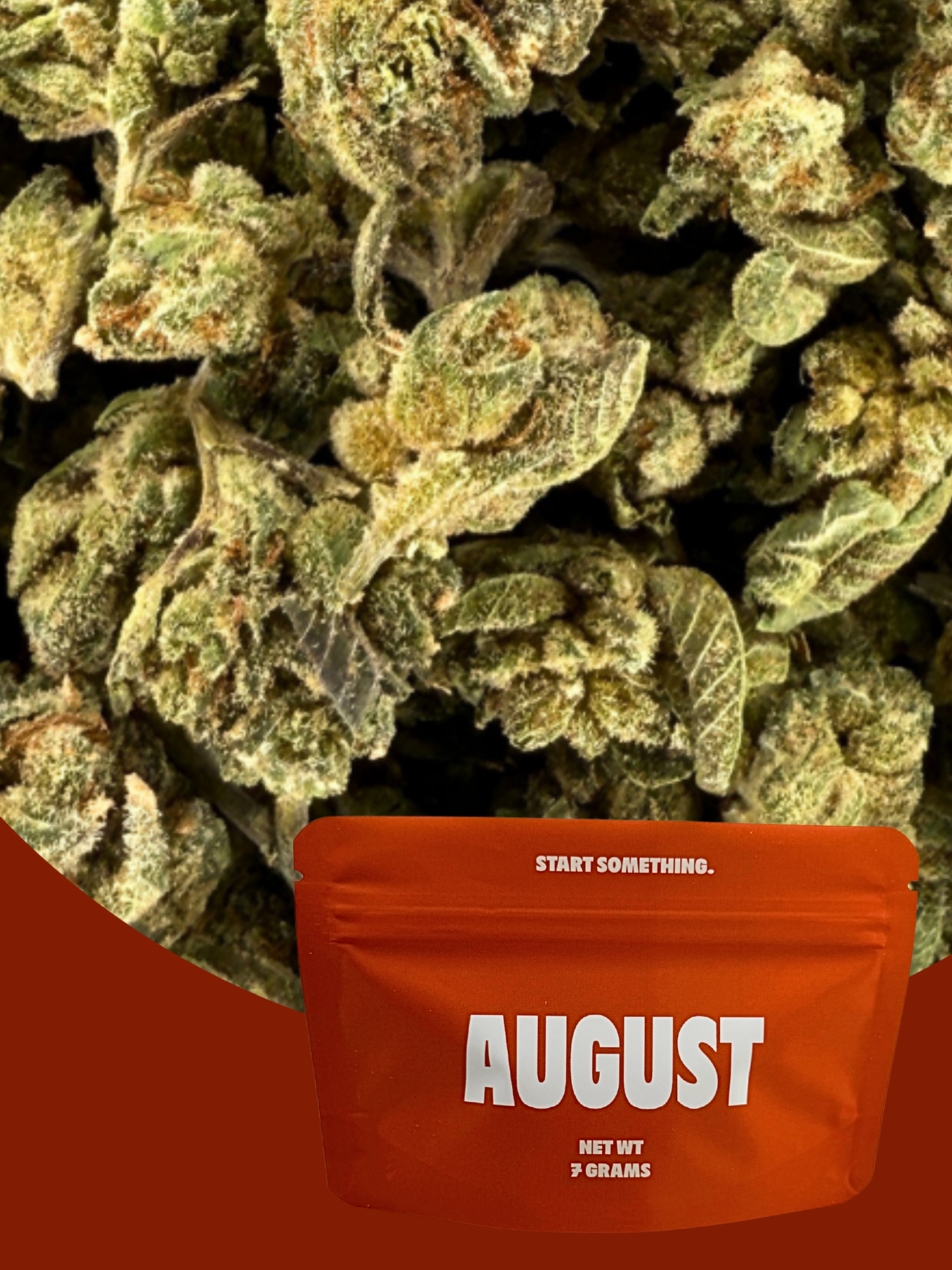 Super Silver Haze Indoor Smalls THCA August Cannabis Club