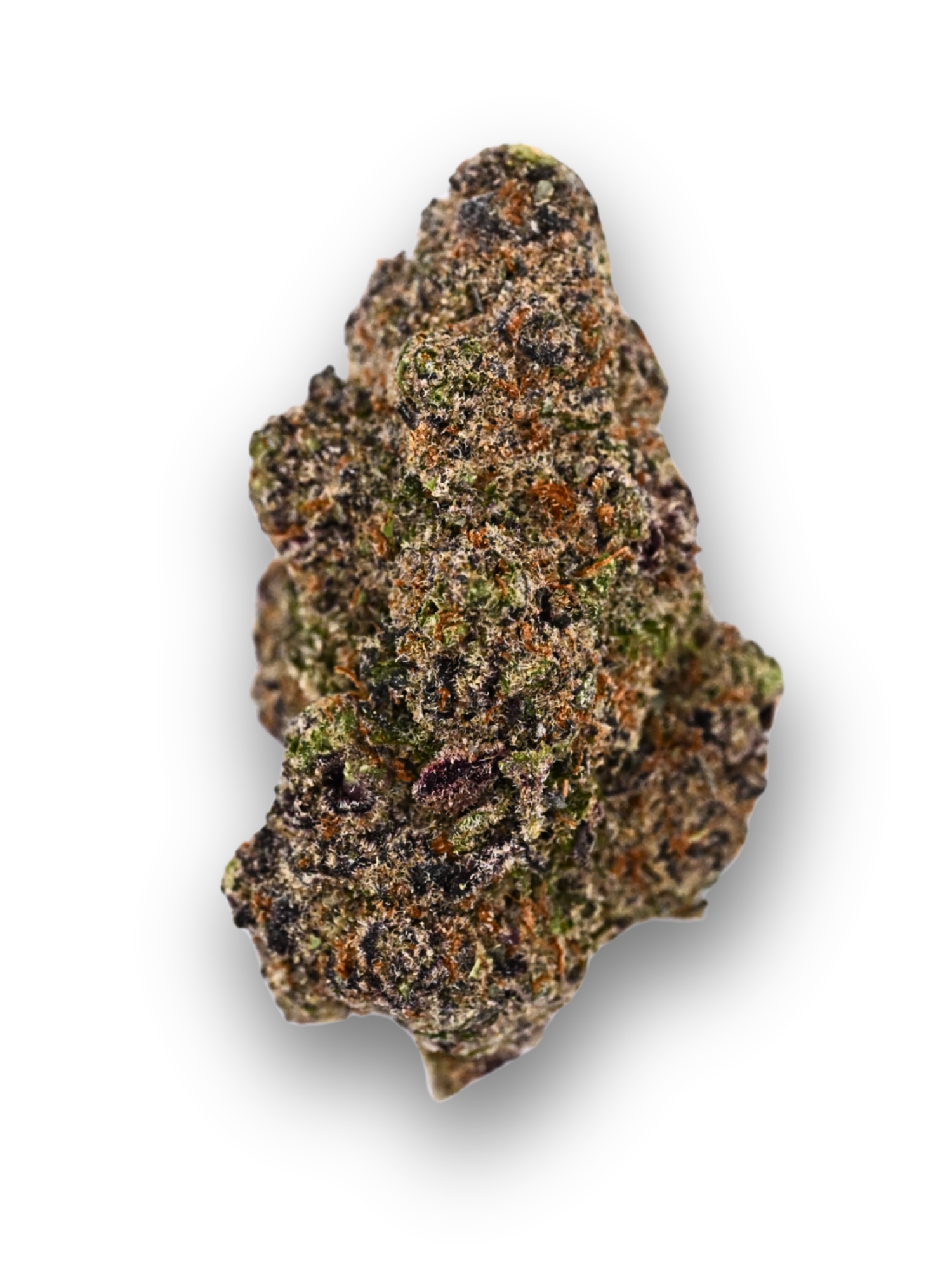 Sweet Cherry Pie August Cannabis Club THCA Flower Living Soil