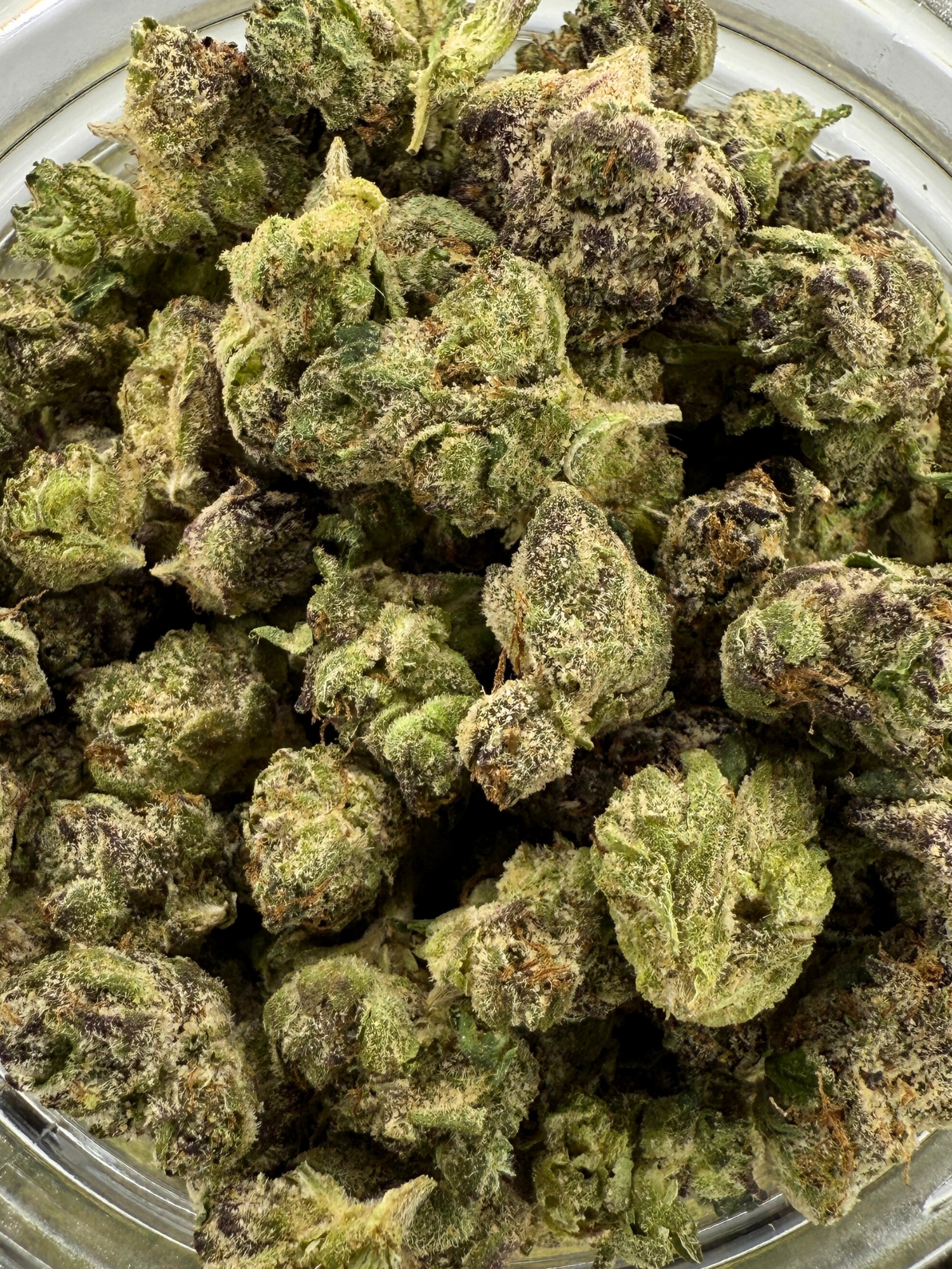 Lemon Cherry Gelato - Exotic Smalls