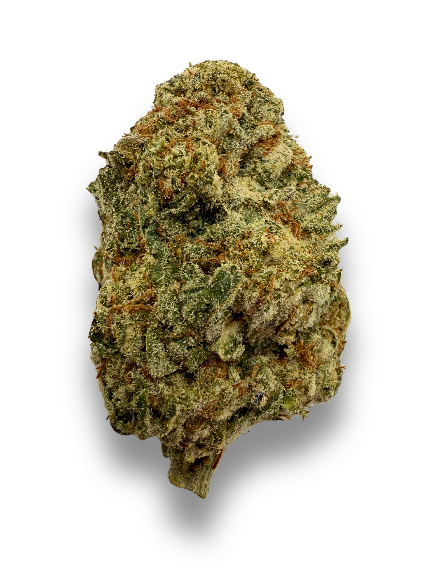 Tangerine Dream THCA Flower August Cannabis Club