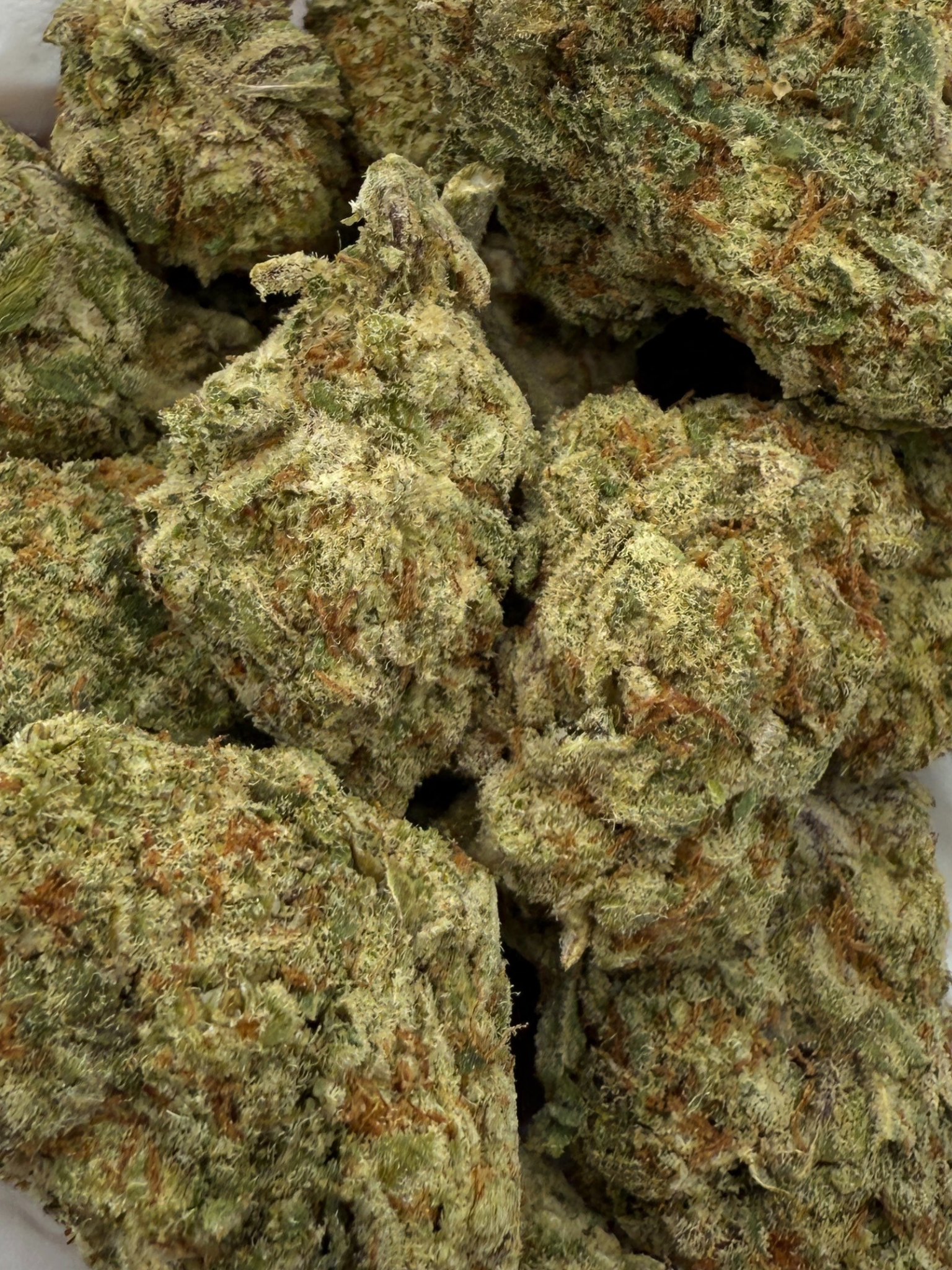 Tangerine Dream THCA Flower August Cannabis Club