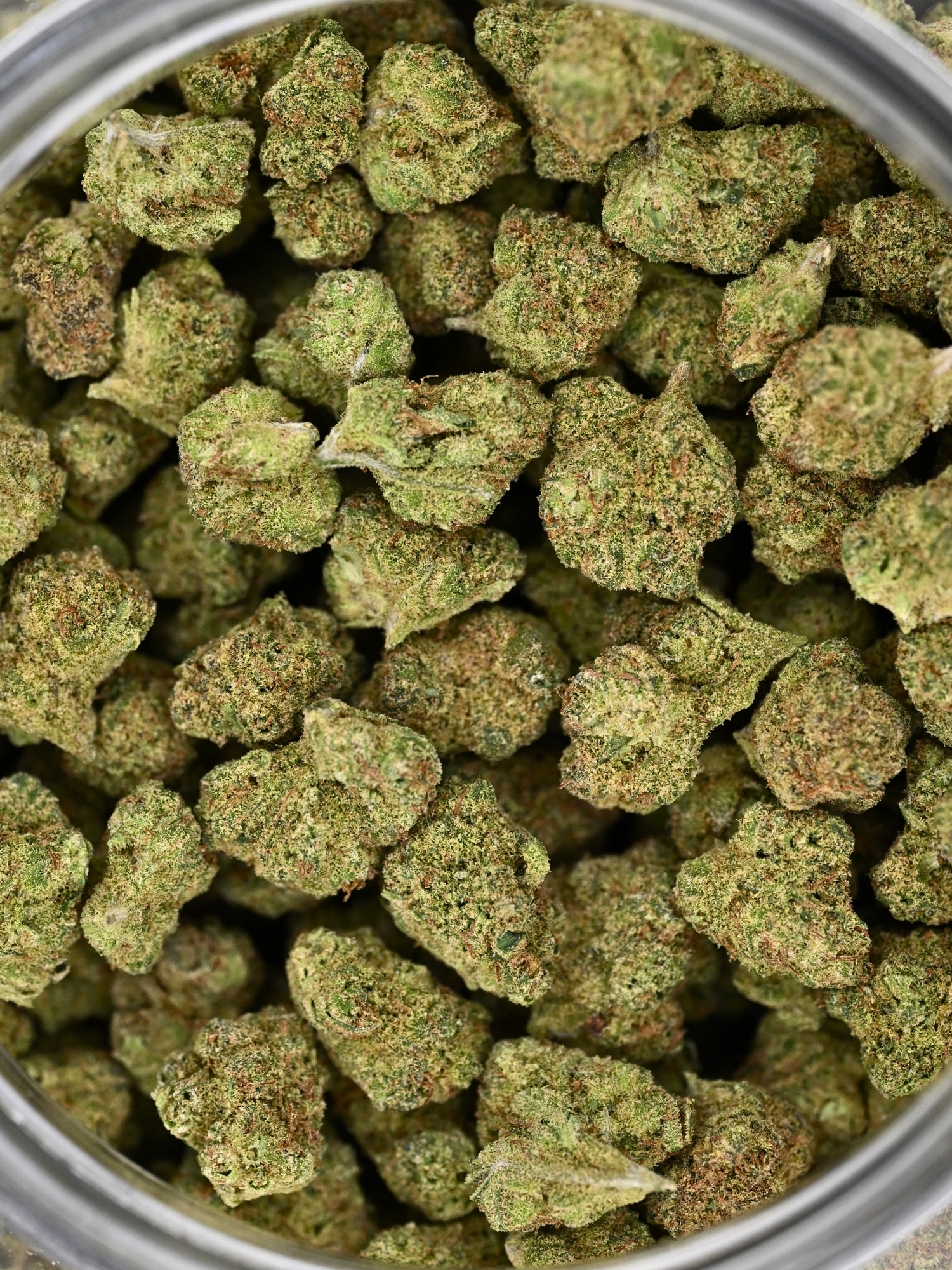 Tangie Exotic Smalls August Cannabis Club THCA Flower