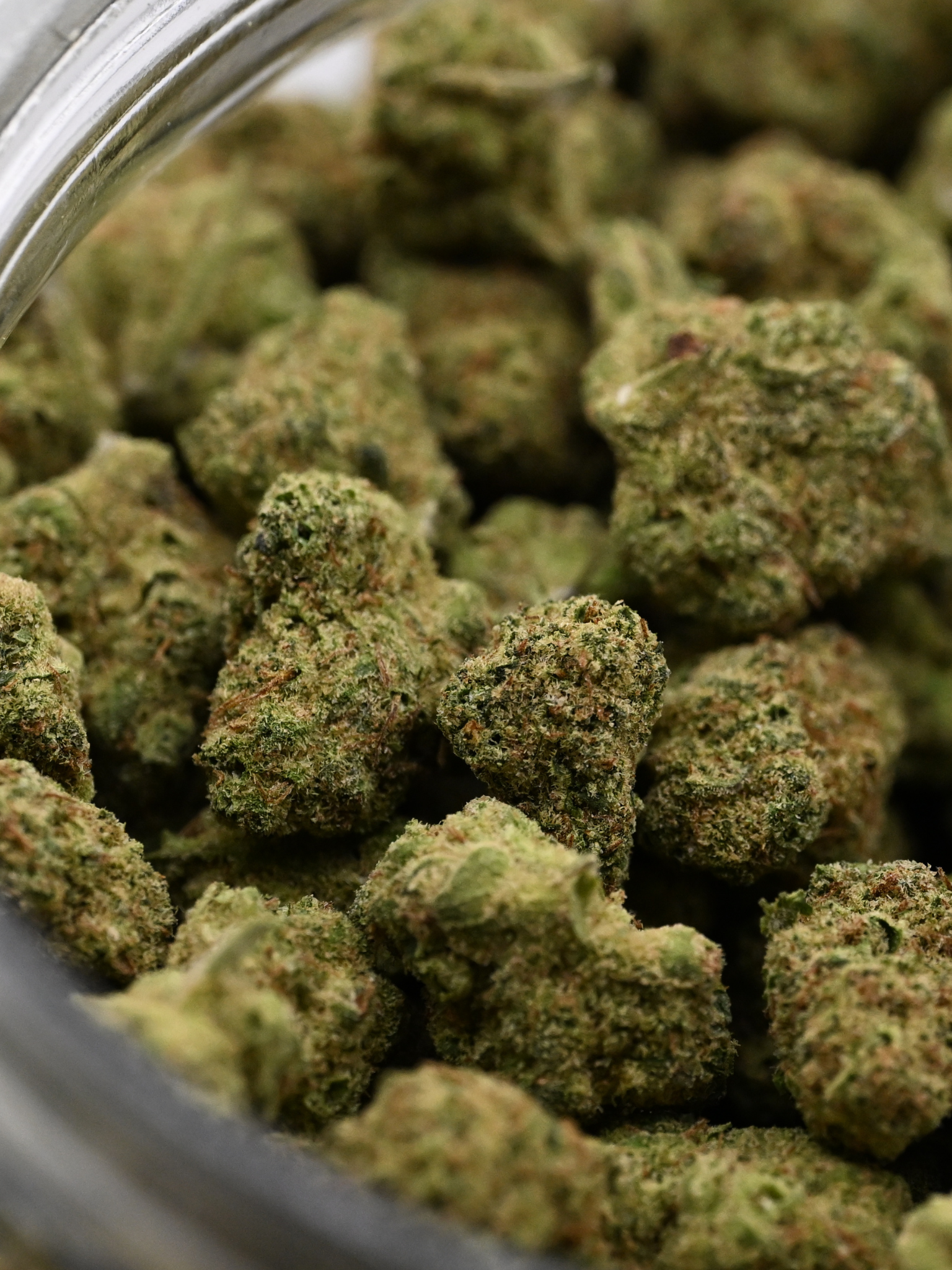 Tangie Exotic Smalls August Cannabis Club THCA Flower