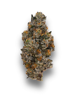 Toad Venom Indoor Living Soil THCa Flower August Cannabis Club