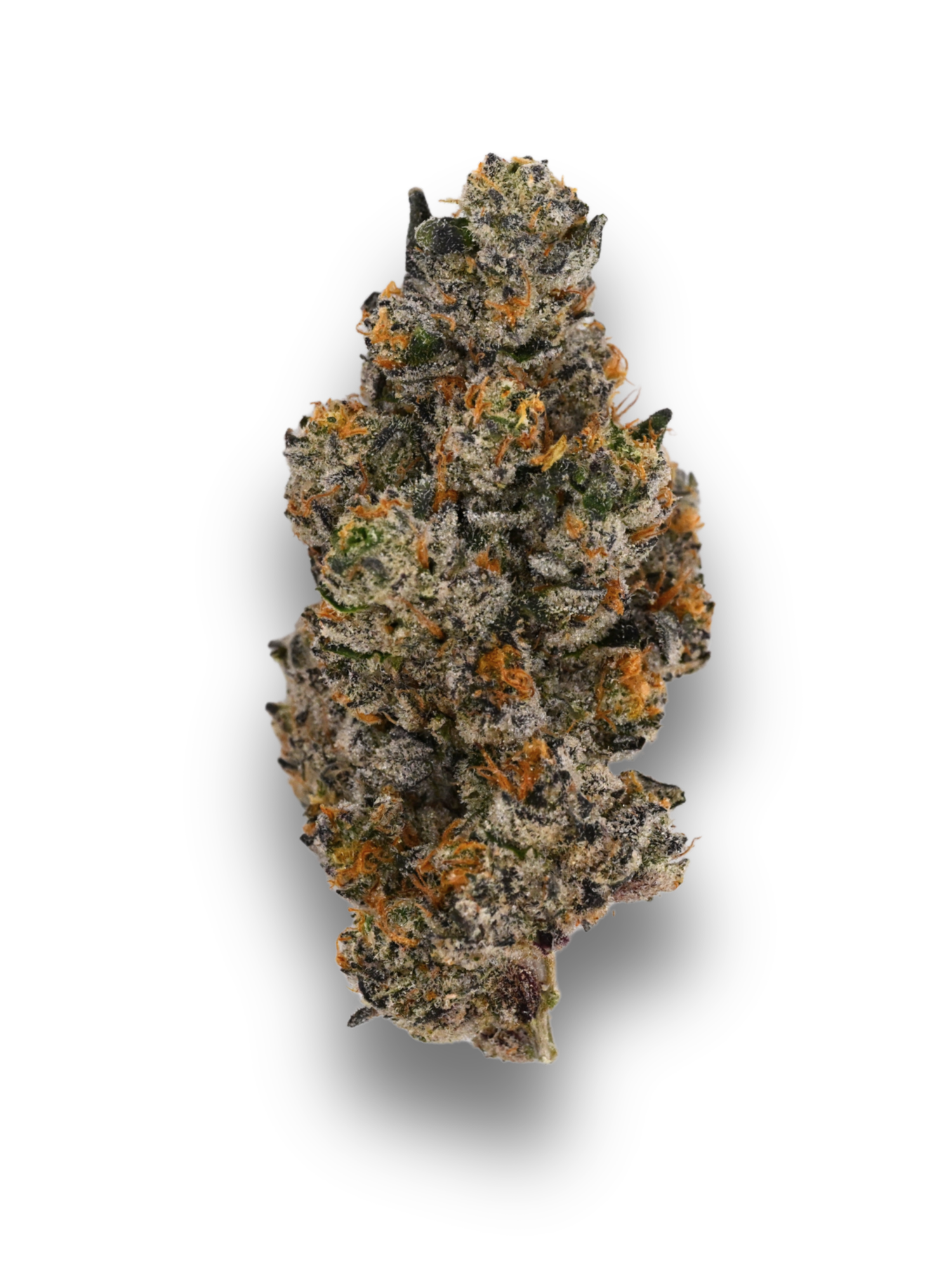 Toad Venom Indoor Living Soil THCa Flower August Cannabis Club