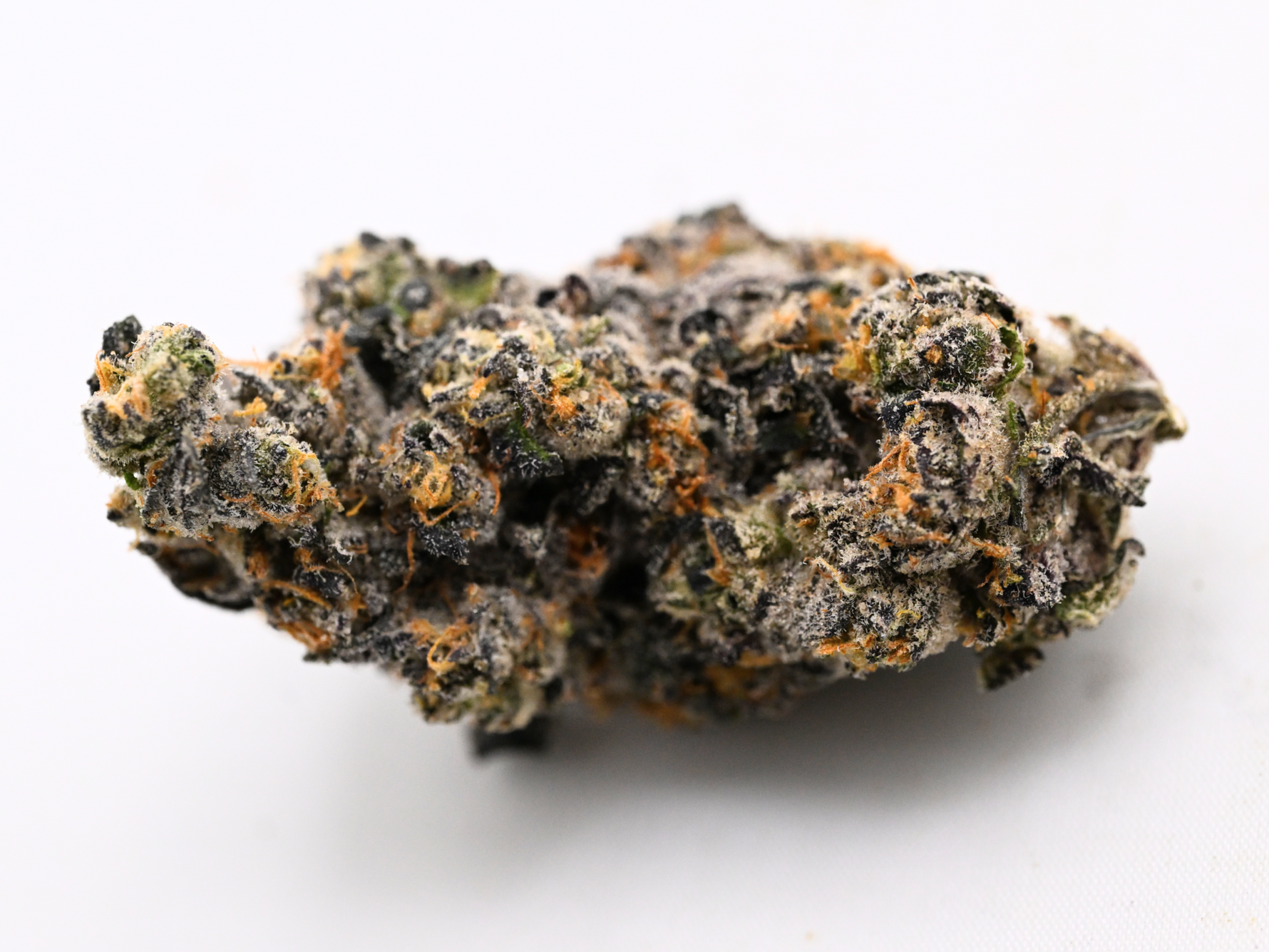 Toad Venom Indoor Living Soil THCa Flower August Cannabis Club