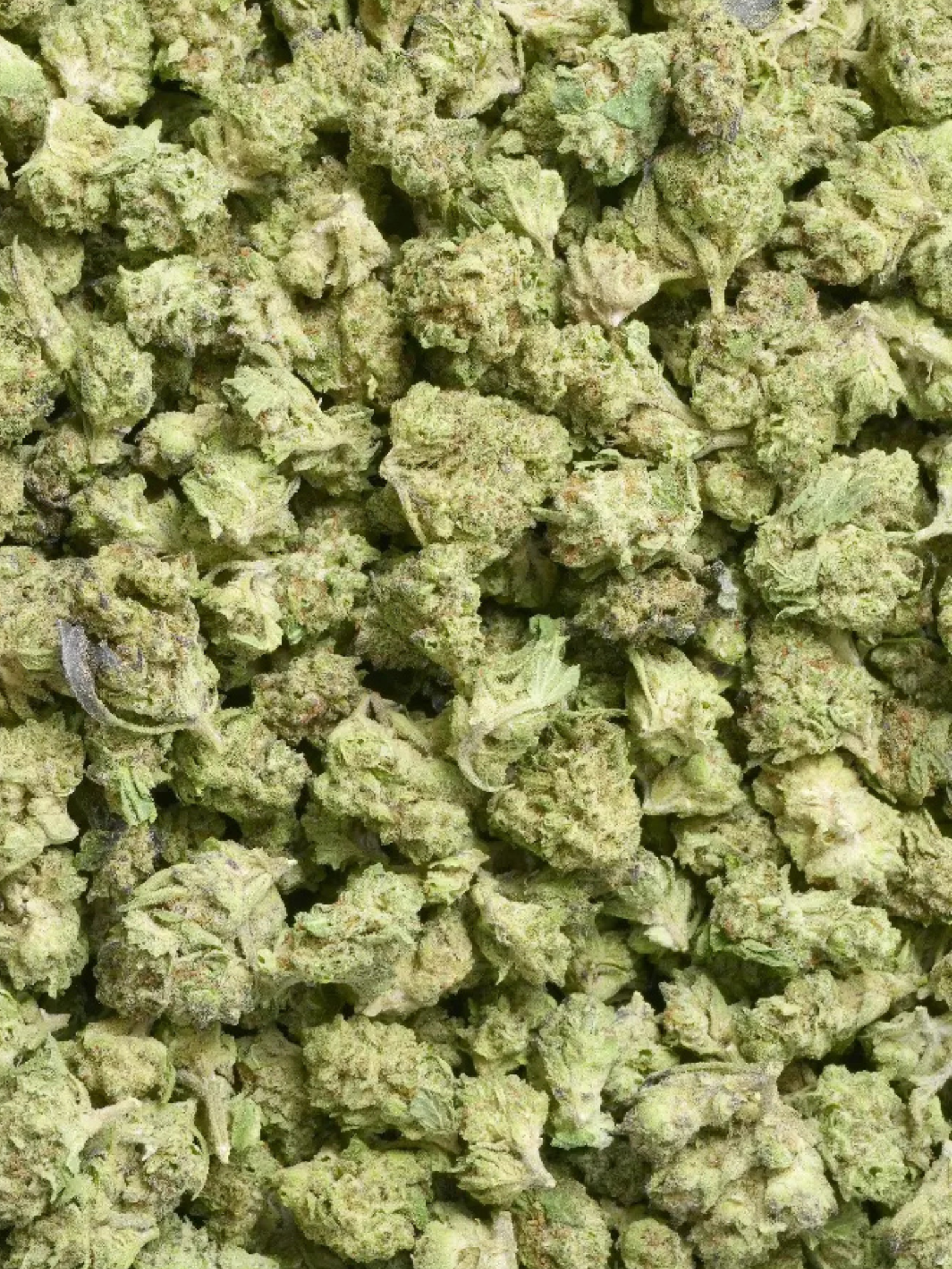 Space Junkie - Greenhouse Smalls