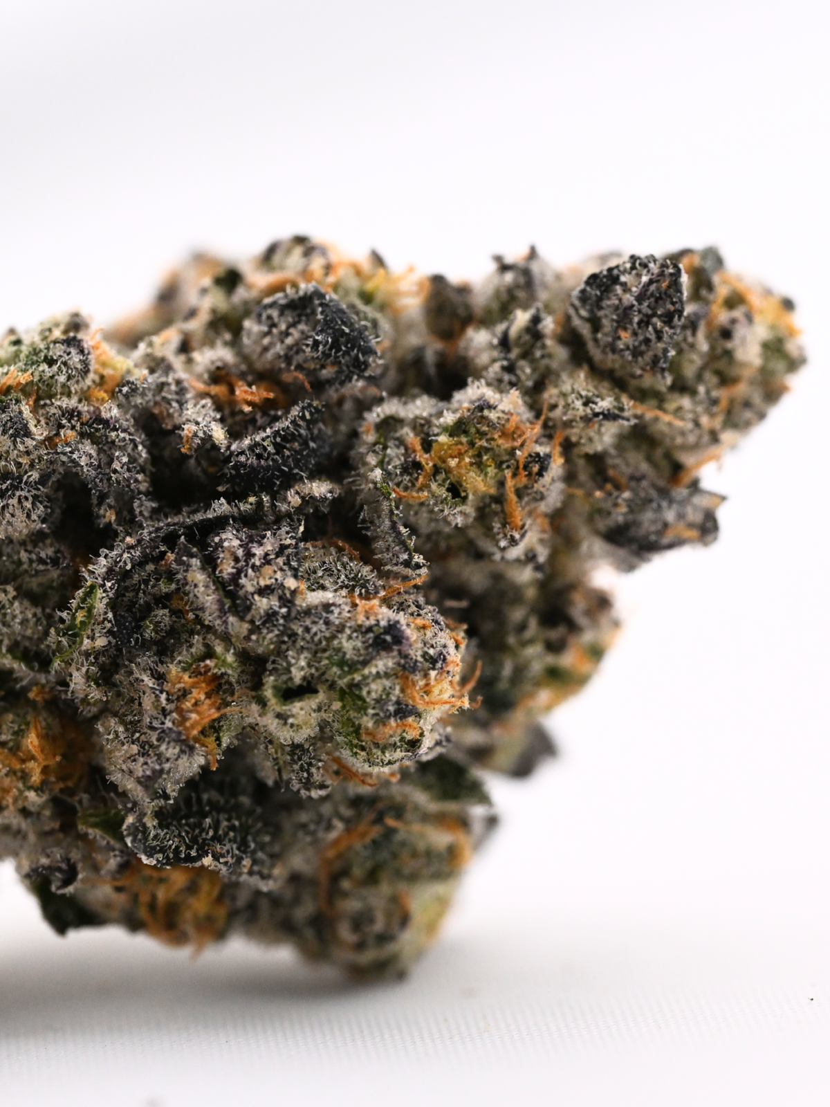 Toad Venom Indoor Living Soil THCa Flower August Cannabis Club