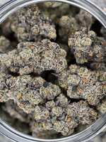 Toad Venom Indoor Living Soil THCa Flower August Cannabis Club Batch