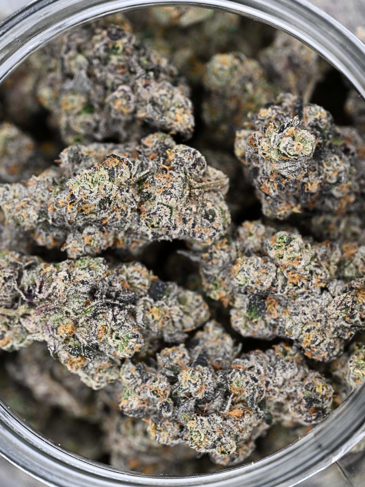 Toad Venom Indoor Living Soil THCa Flower August Cannabis Club Batch