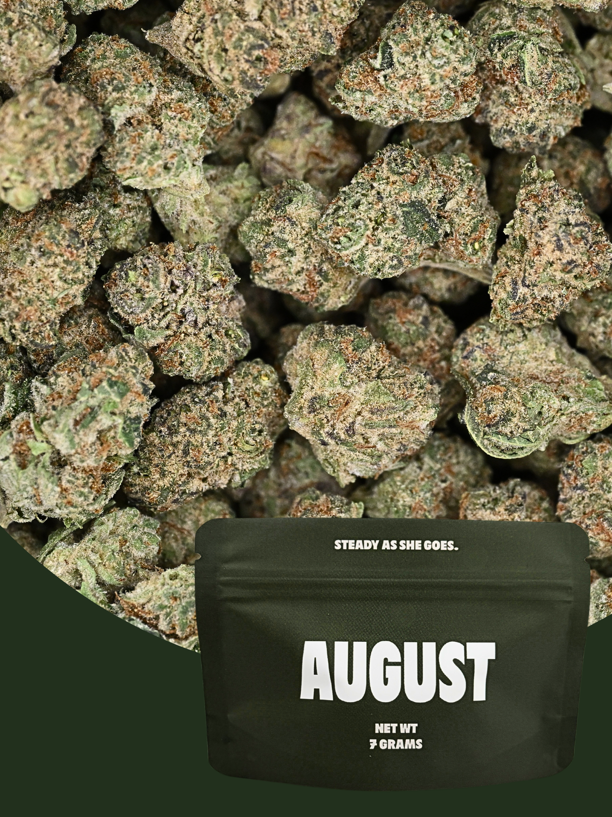 Top Gun hybrid exotic smalls showing crystal trichomes and bright orange hairs | August Cannabis Club