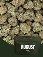 Top Gun hybrid exotic smalls showing crystal trichomes and bright orange hairs | August Cannabis Club