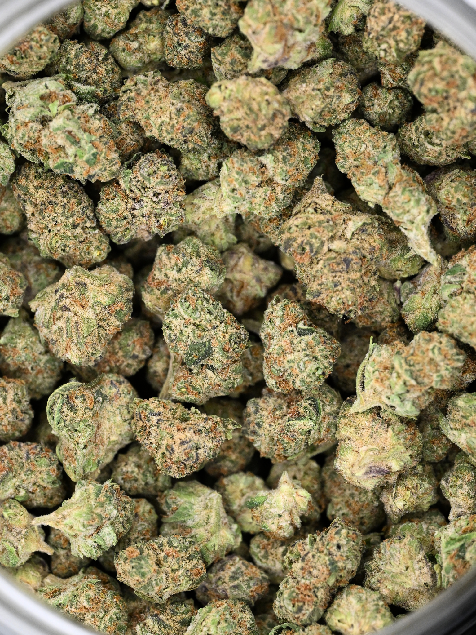 Top Gun hybrid exotic smalls showing crystal trichomes and bright orange hairs | August Cannabis Club
