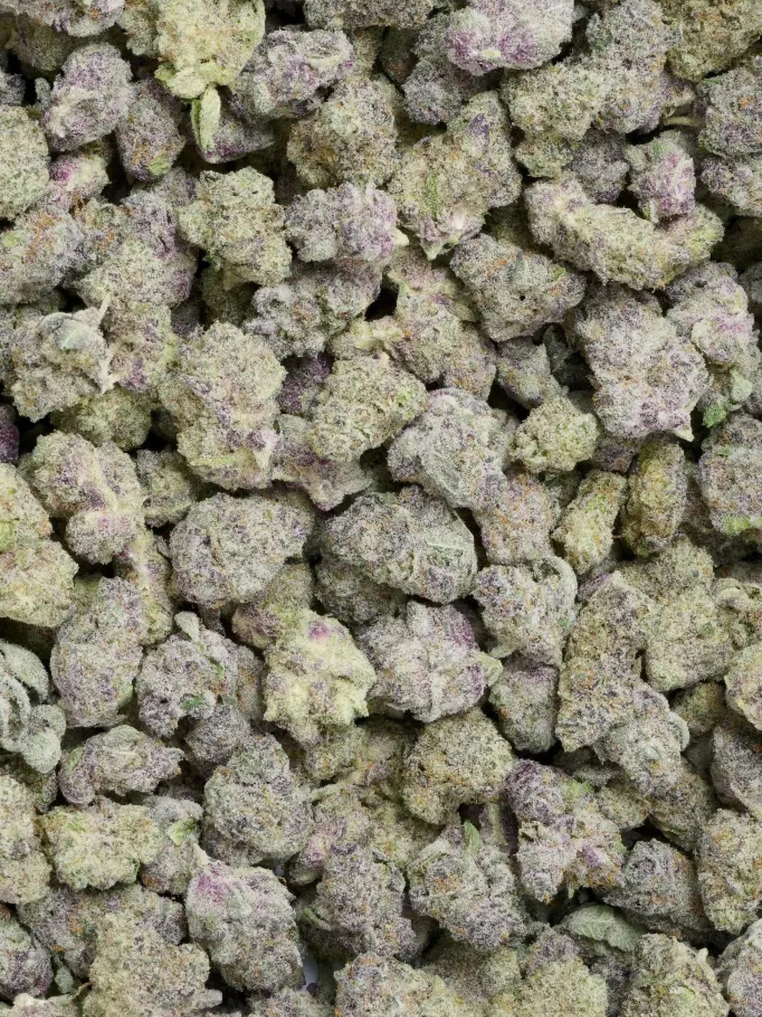 Tropicana Cookies - Greenhouse Smalls