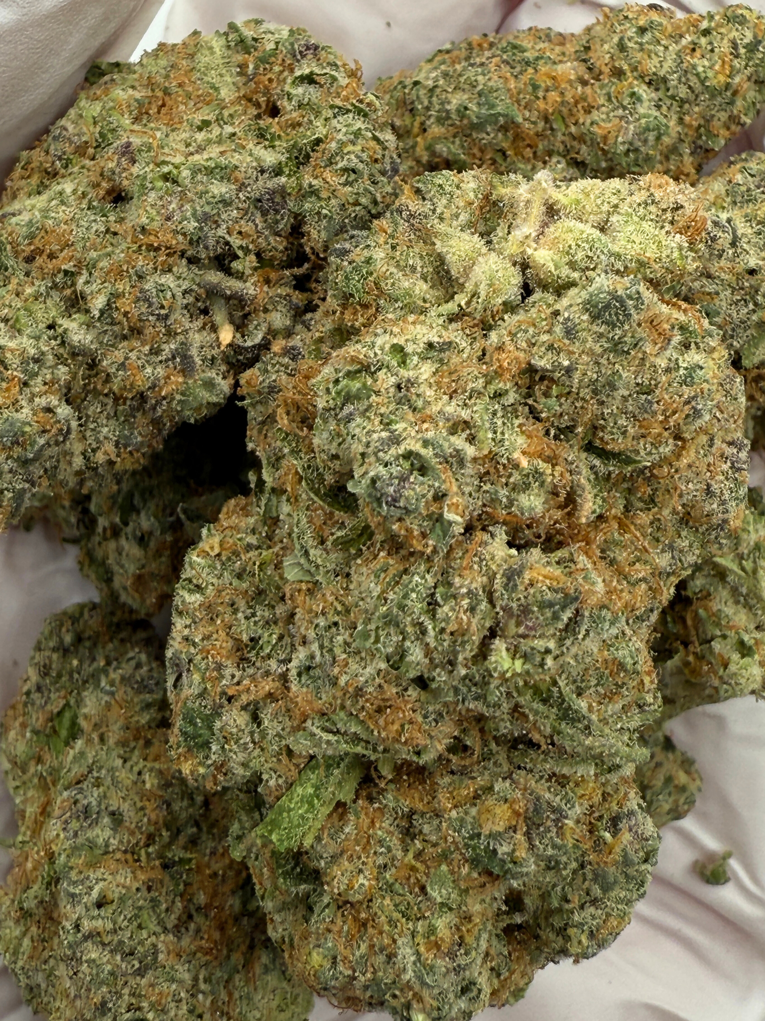 Tropicana Cookies