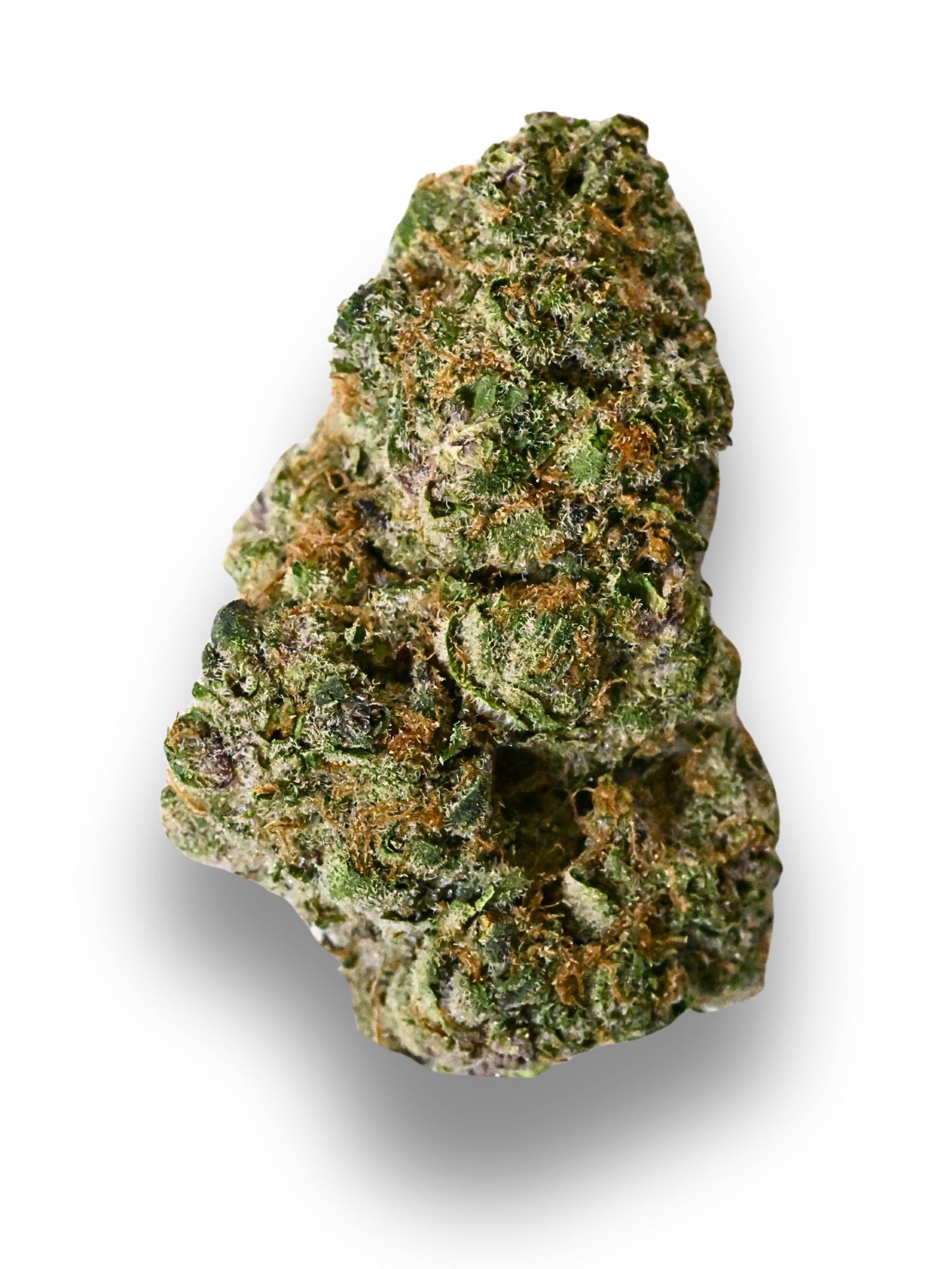 Tropicana Cookies THCA Flower August Cannabis Club