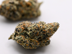 Close-up of Uncle Snoop THCa Flower showing purple buds and crystal trichomes and bright orange hairs | August Cannabis Club