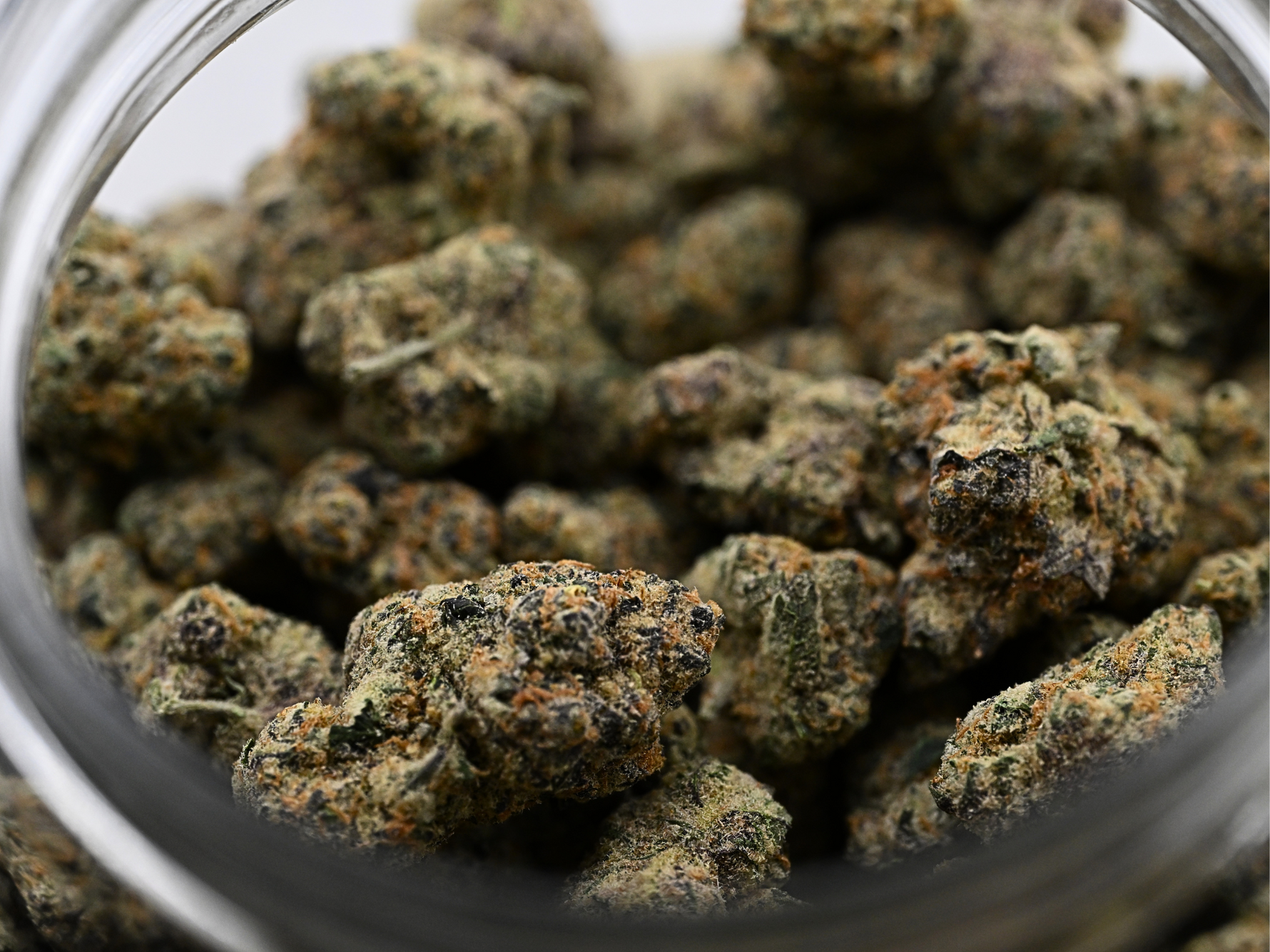 Close-up of Uncle Snoop THCa Flower showing purple buds and crystal trichomes and bright orange hairs | August Cannabis Club