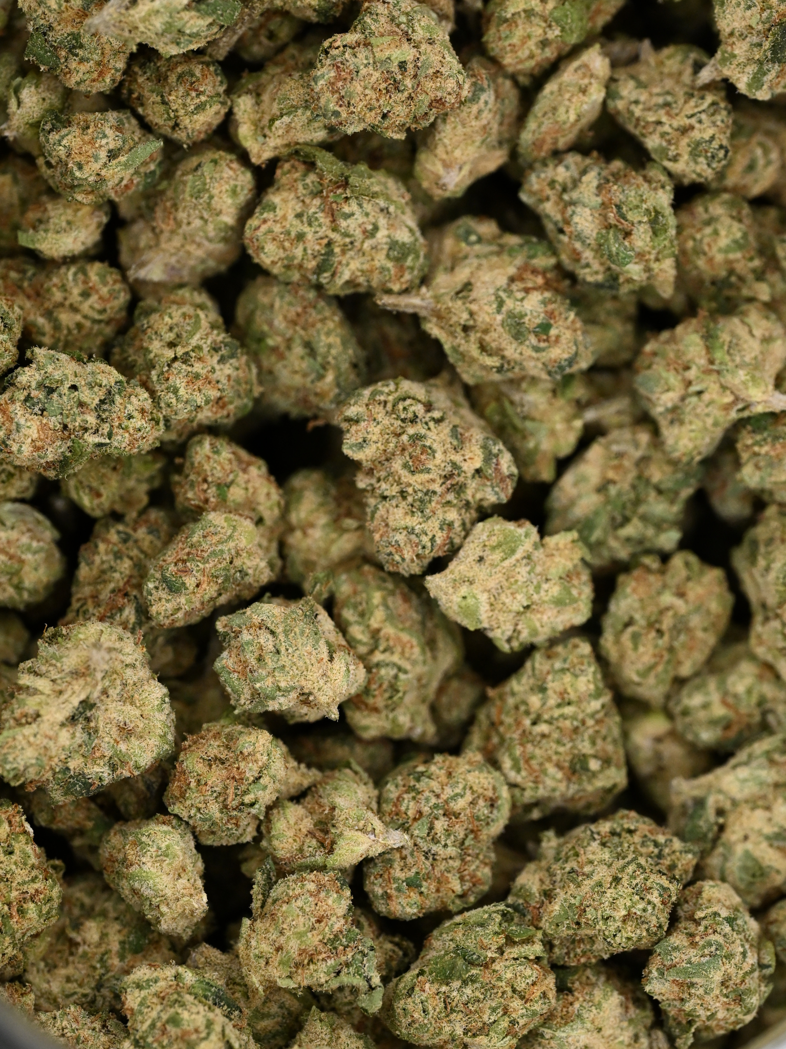 Unicorn Breath Exotic Smalls Hybrid August Cannabis Club THCA Flower