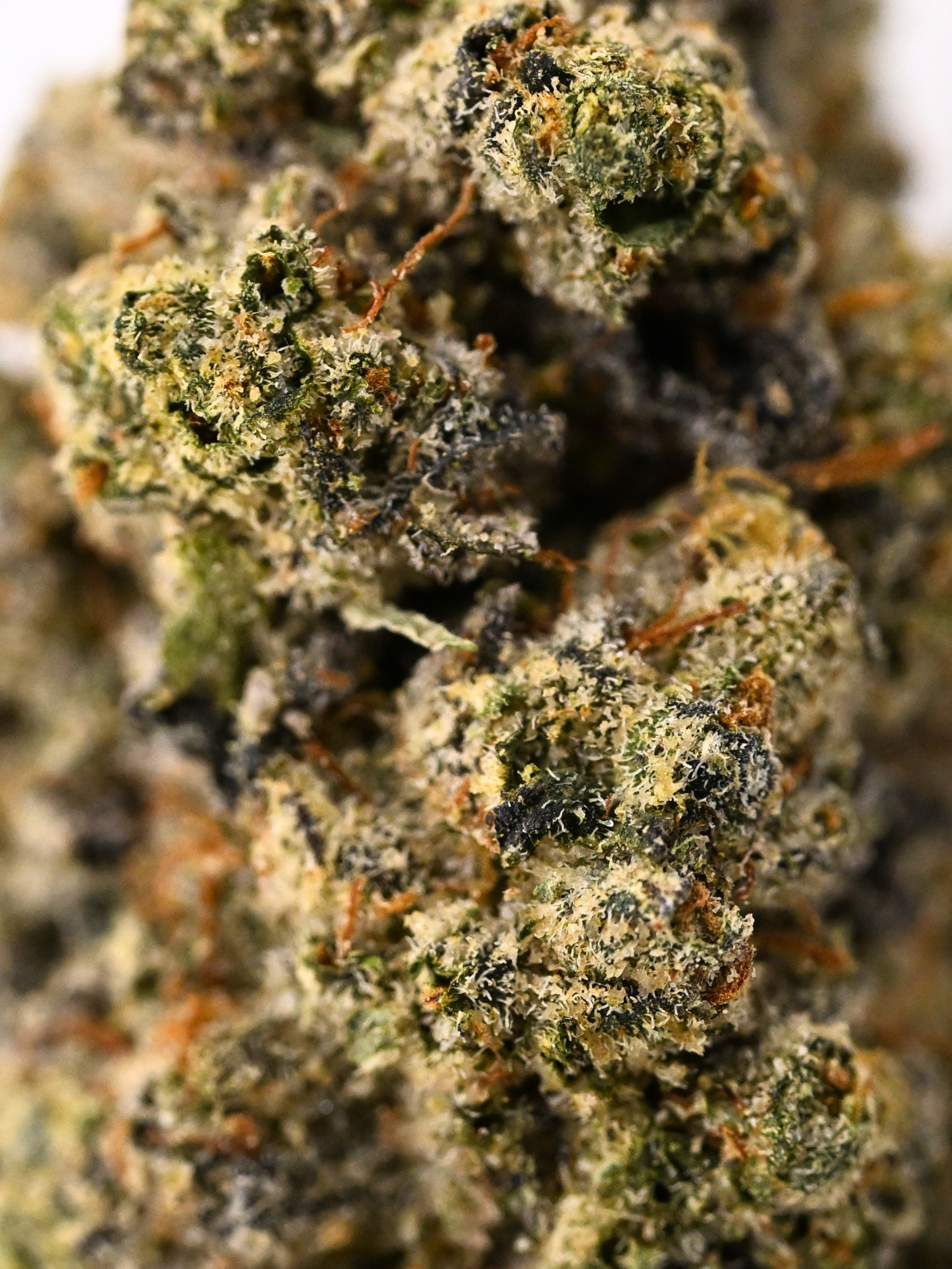 Up Dawg Indoor Living Soil THCa Flower August Cannabis Club