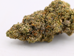 Up Dawg Indoor Living Soil THCa Flower August Cannabis Club