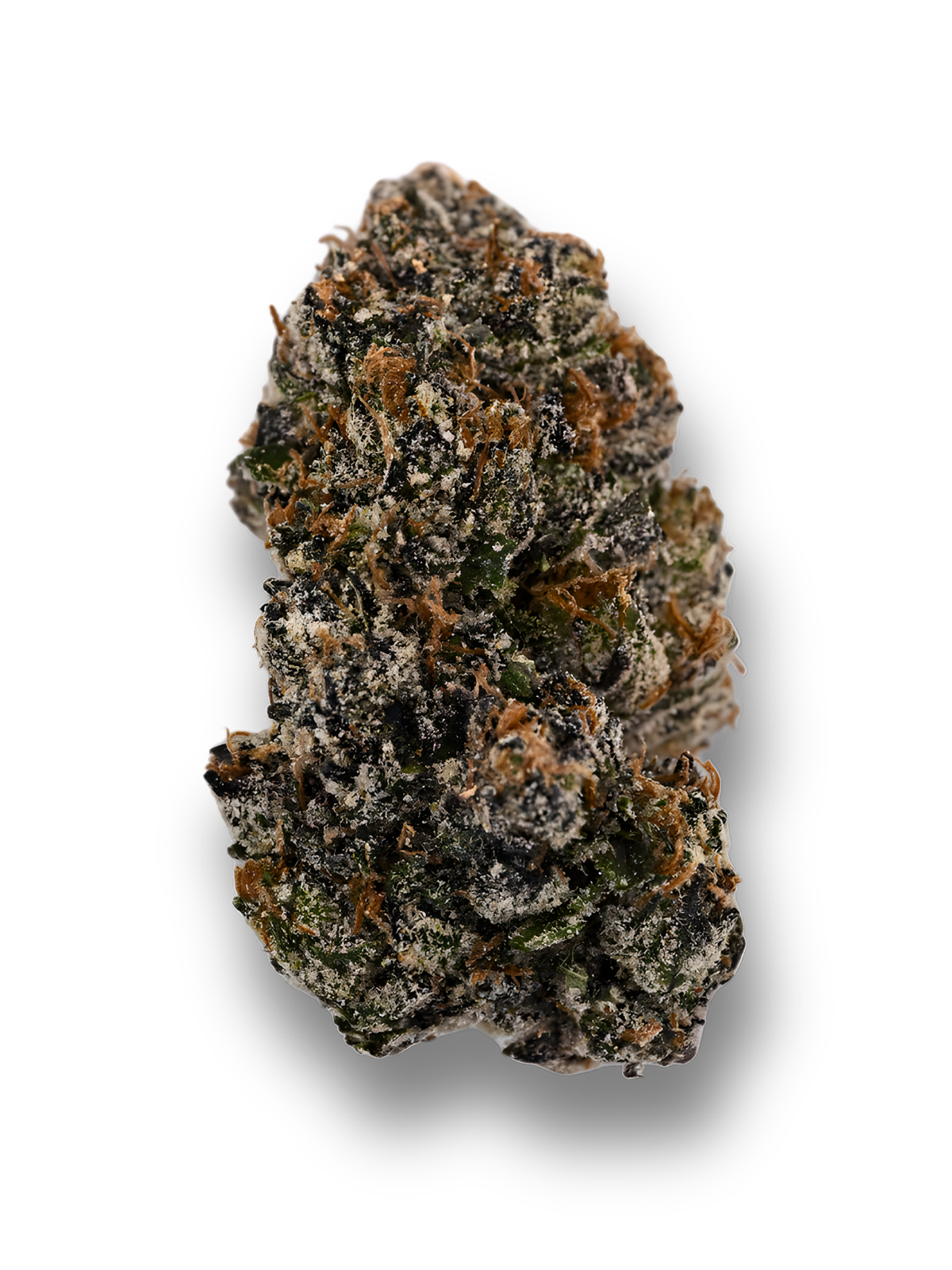Velvet Skunk THCa flower with frosty purple buds, orange pistils, and dense trichome coverage | August Cannabis Club