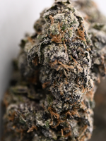 Velvet Skunk THCa flower with frosty purple buds, orange pistils, and dense trichome coverage | August Cannabis Club