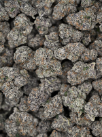 Velvet Skunk THCa flower with frosty purple buds, orange pistils, and dense trichome coverage | August Cannabis Club
