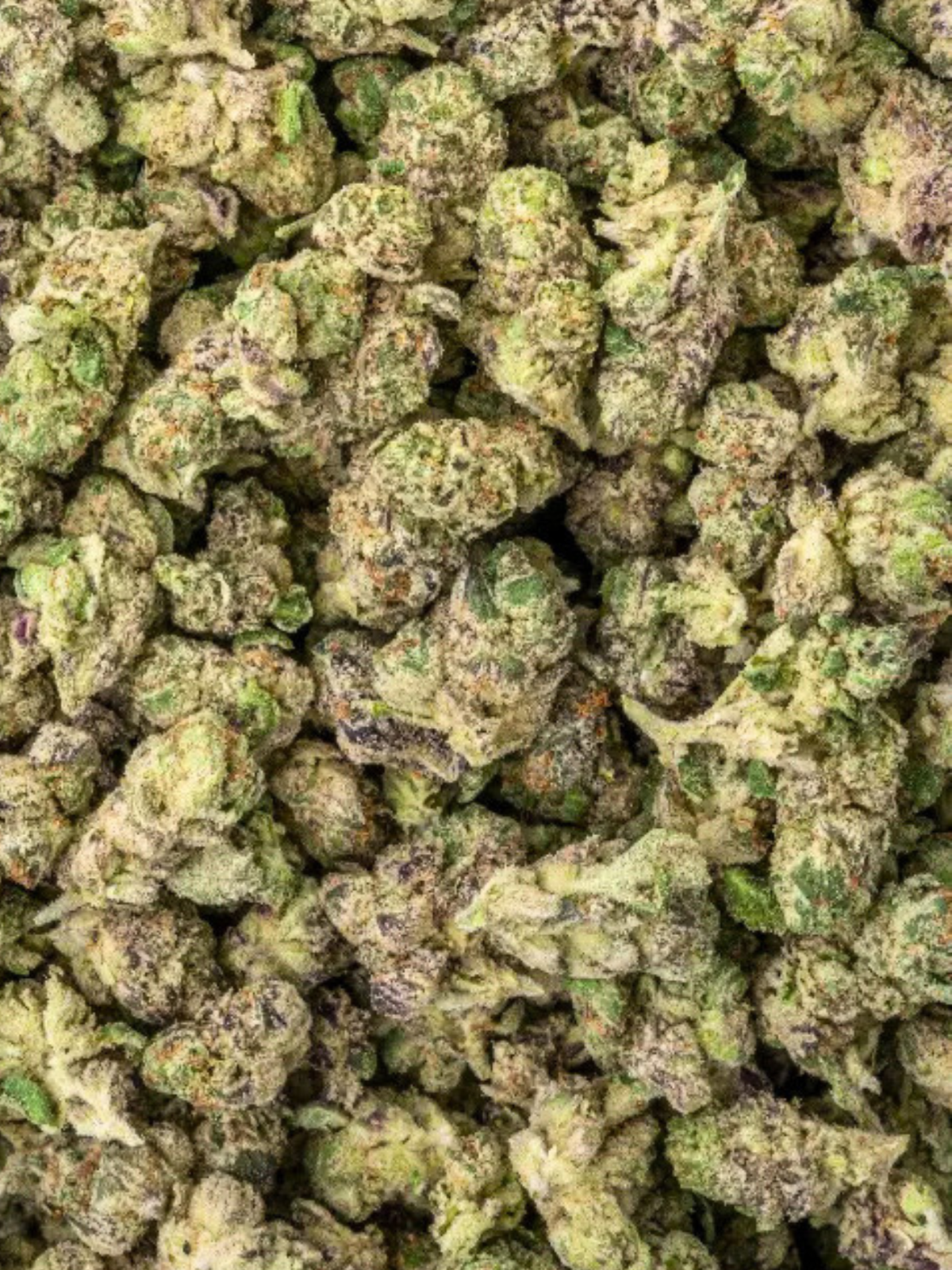 Warheads Exotic Smalls August Cannabis Club THCA Flower