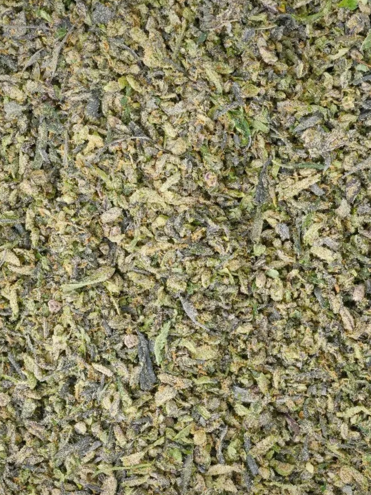 White Rhino Shake