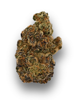 White Russian x Malawi August Cannabis Club Greenhouse Living Soil Flower