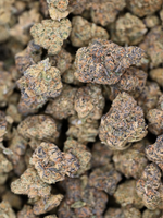 White Russian x Malawi August Cannabis Club Greenhouse Living Soil Flower