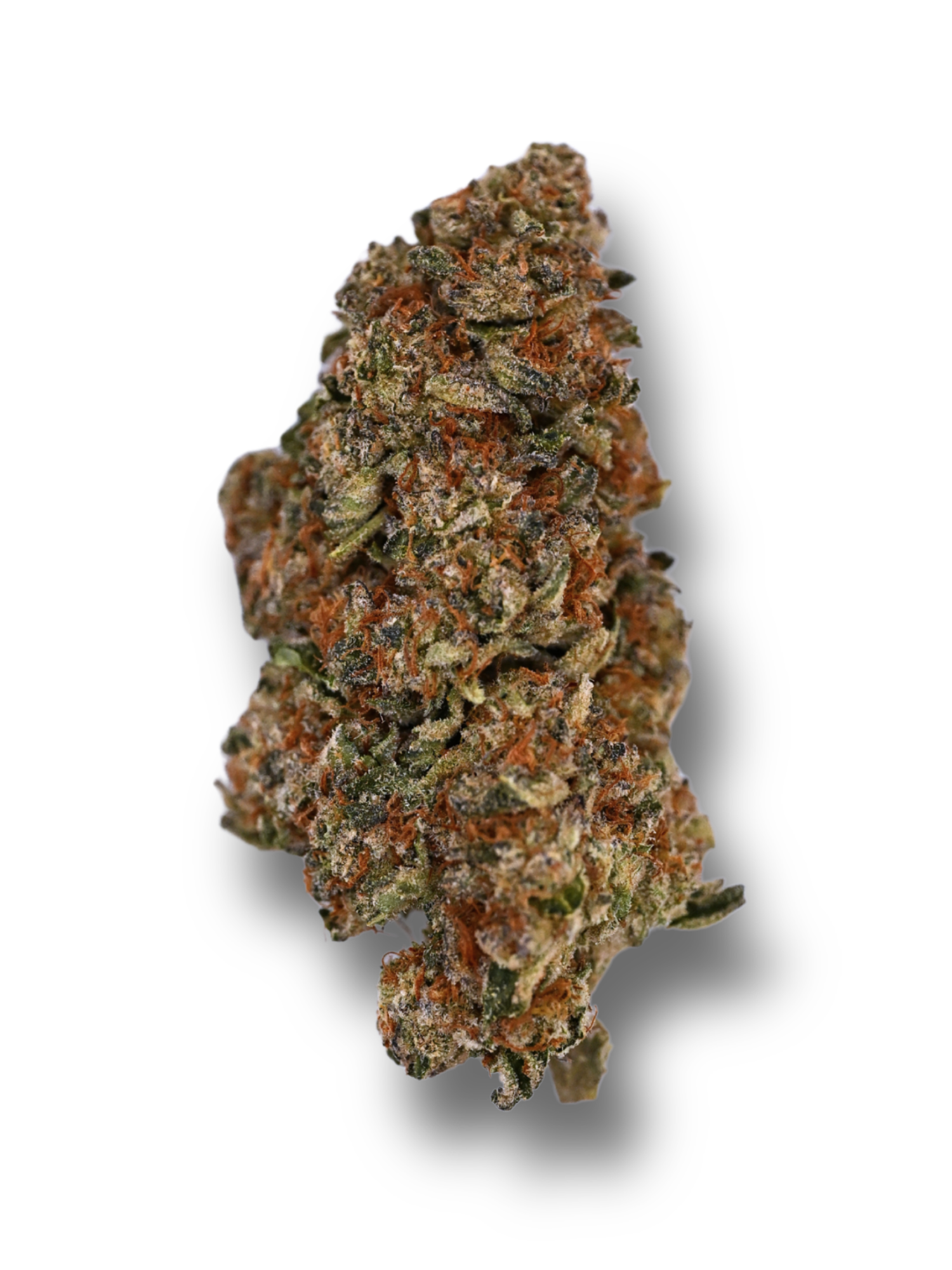 White Widow Greenhouse Hybrid August Cannabis Club THCA Flower