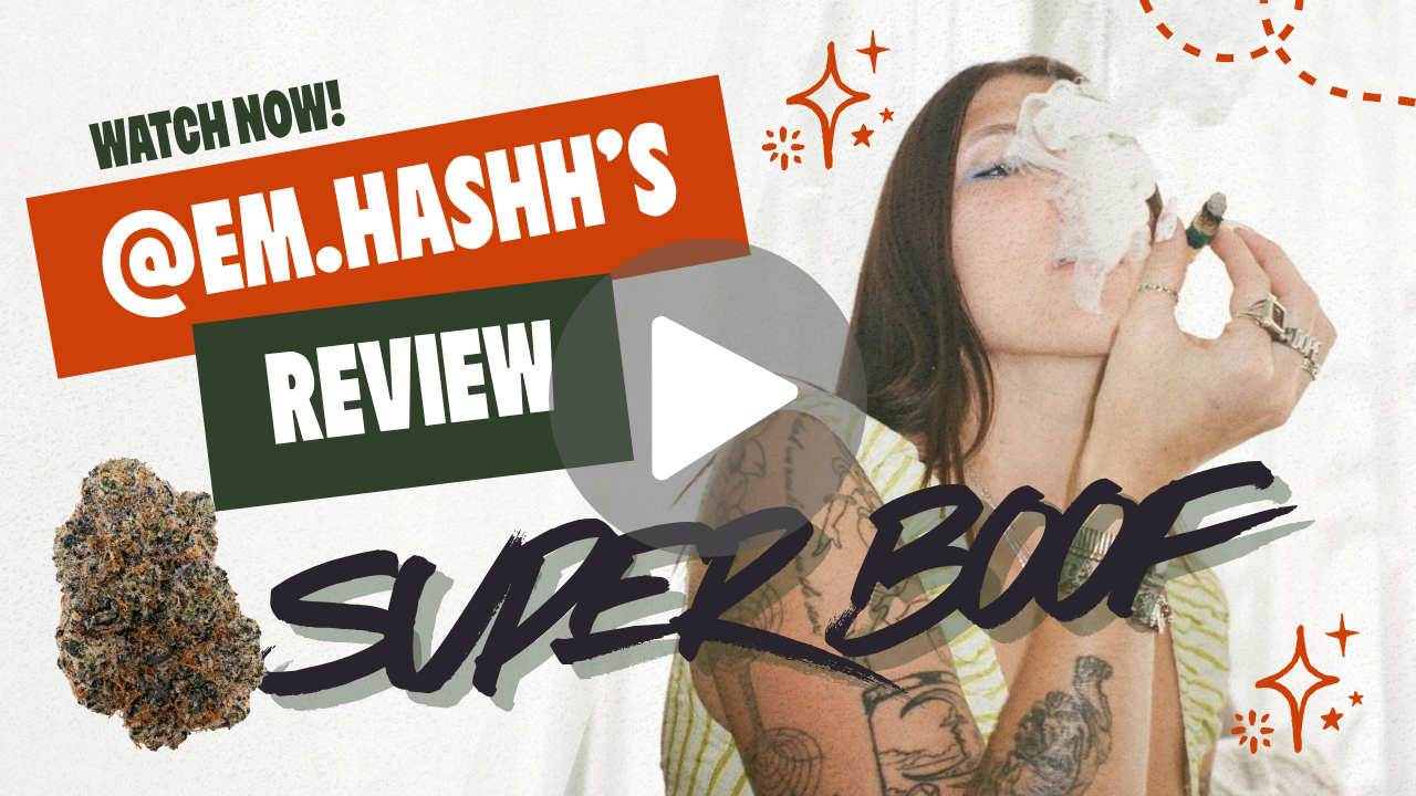 Super Boof August Cannabis Club Review