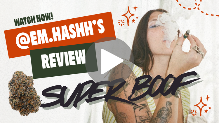 Super Boof August Cannabis Club Review