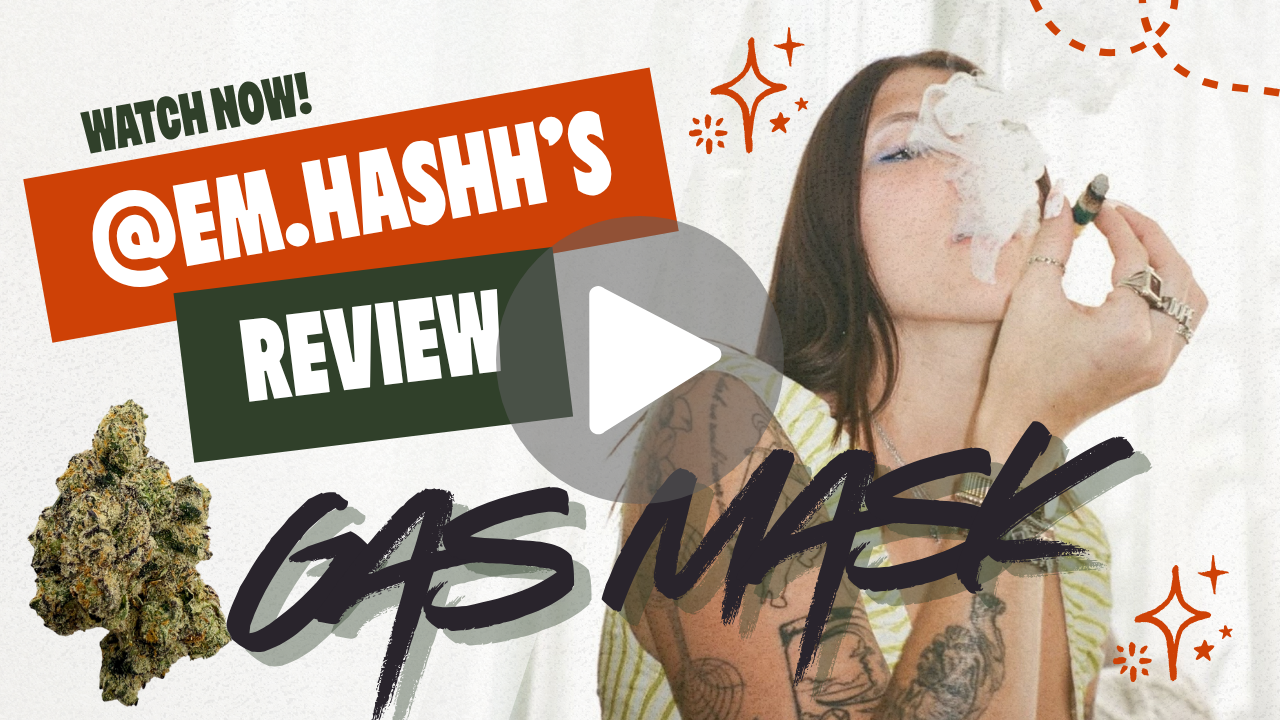 Gas Mask August Club Review